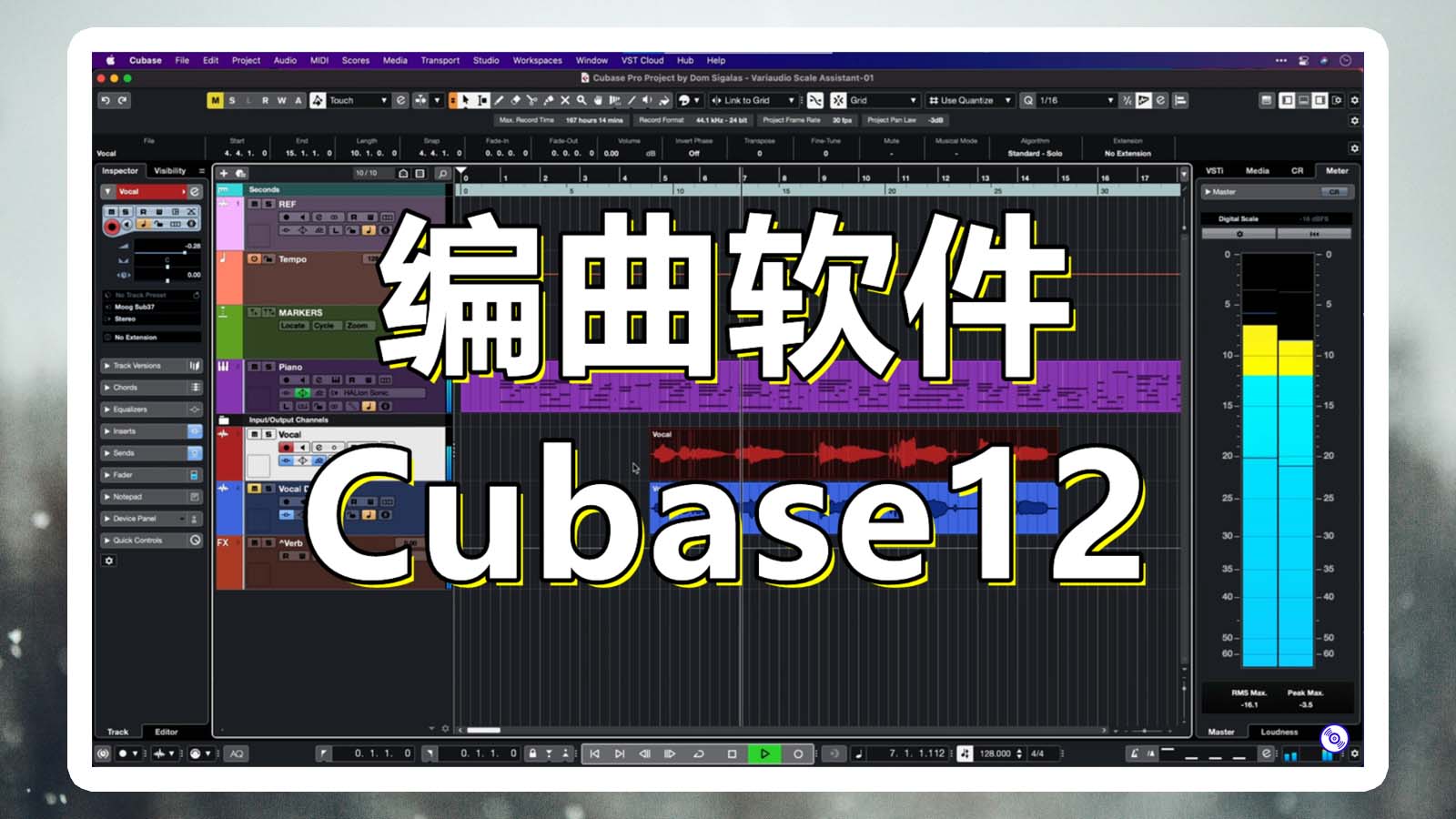 Cubase12【Windows版】Cubase软件