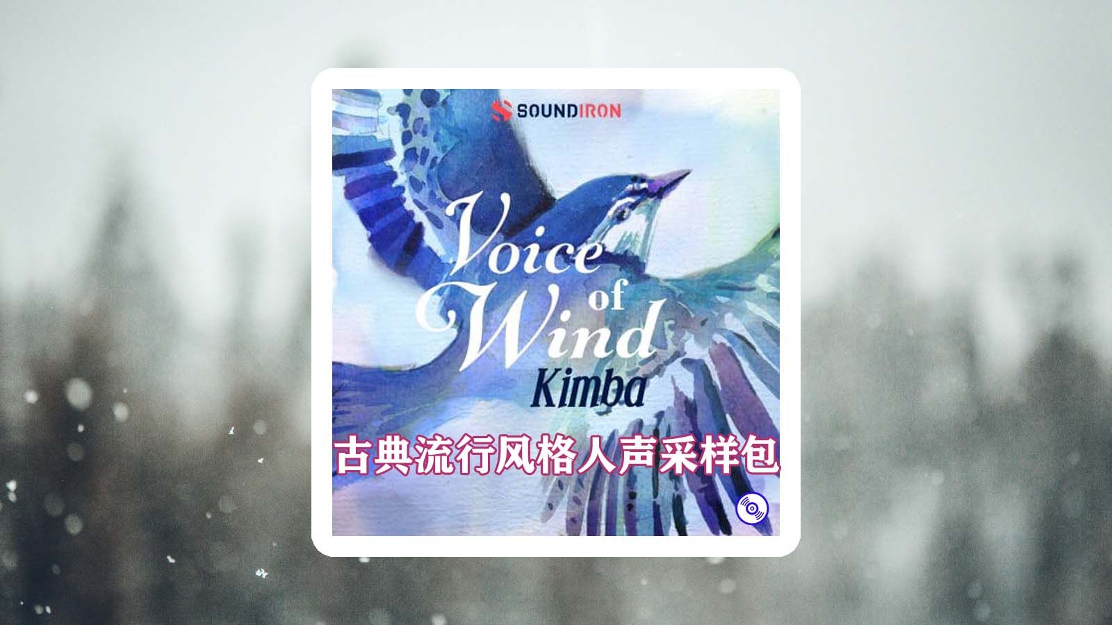 古典流行风格人声采样包下载！Voice of Wind Kimba Phrases Sample Packs
