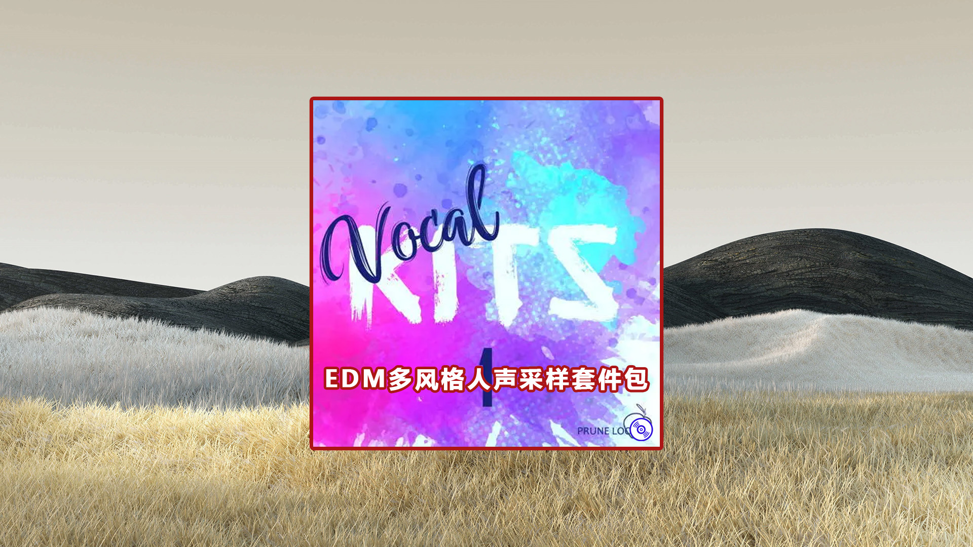 【EDM人声】EDM多风格人声采样套件包下载！EDM Vocal Sample Packs