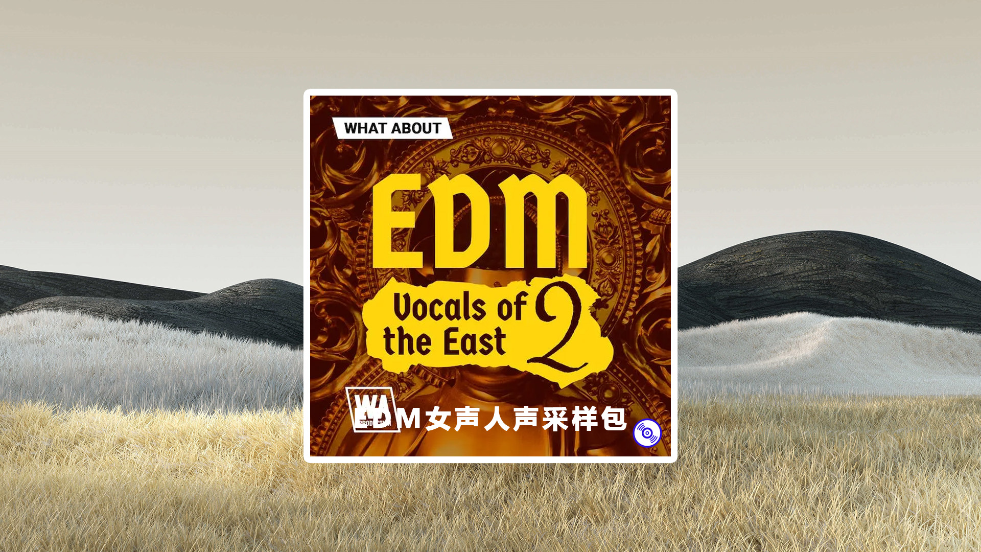 EDM女声人声采样包下载！EDM Vocals Sample Packs