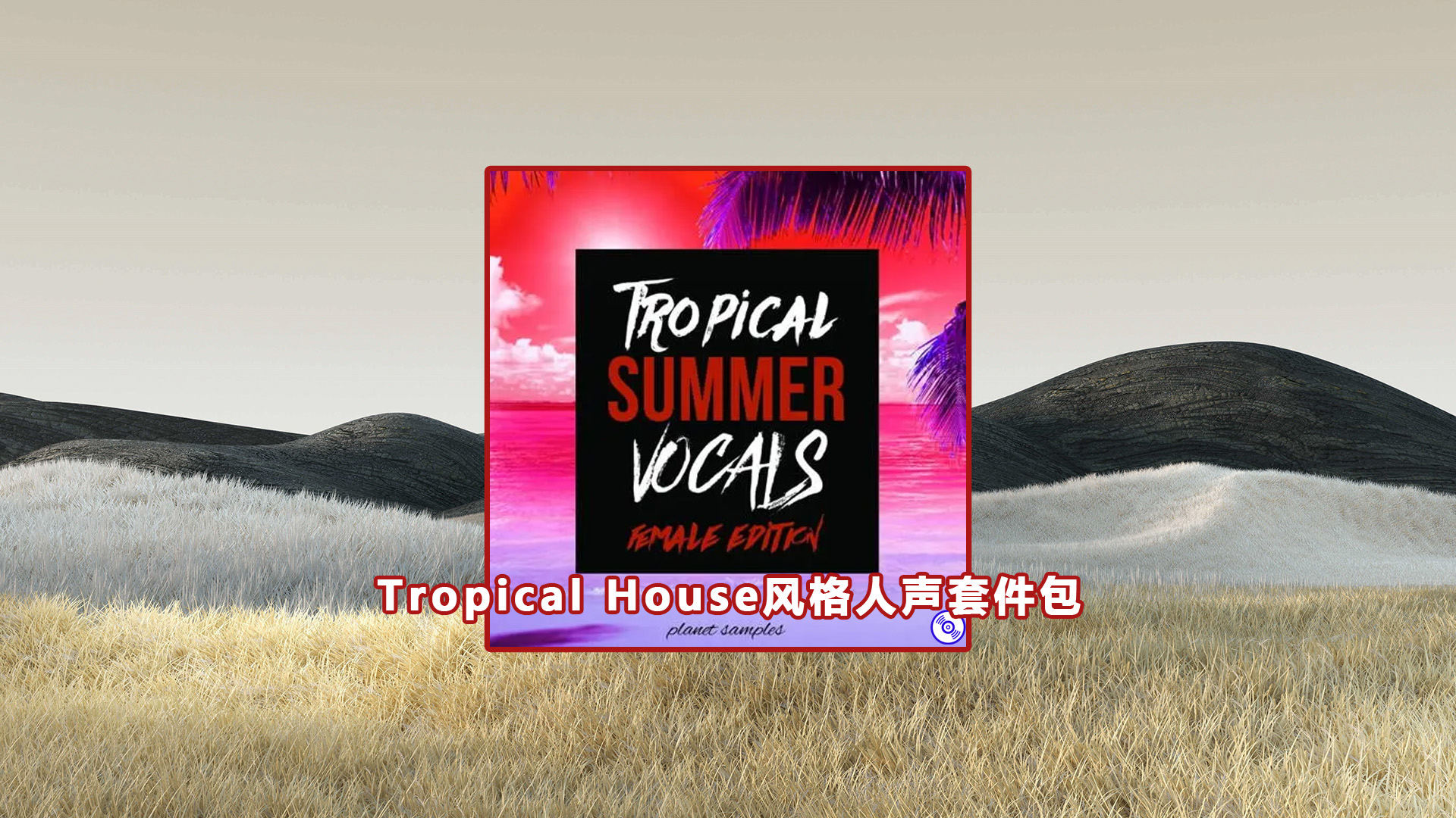 【Tropical House】风格人声套件包下载！