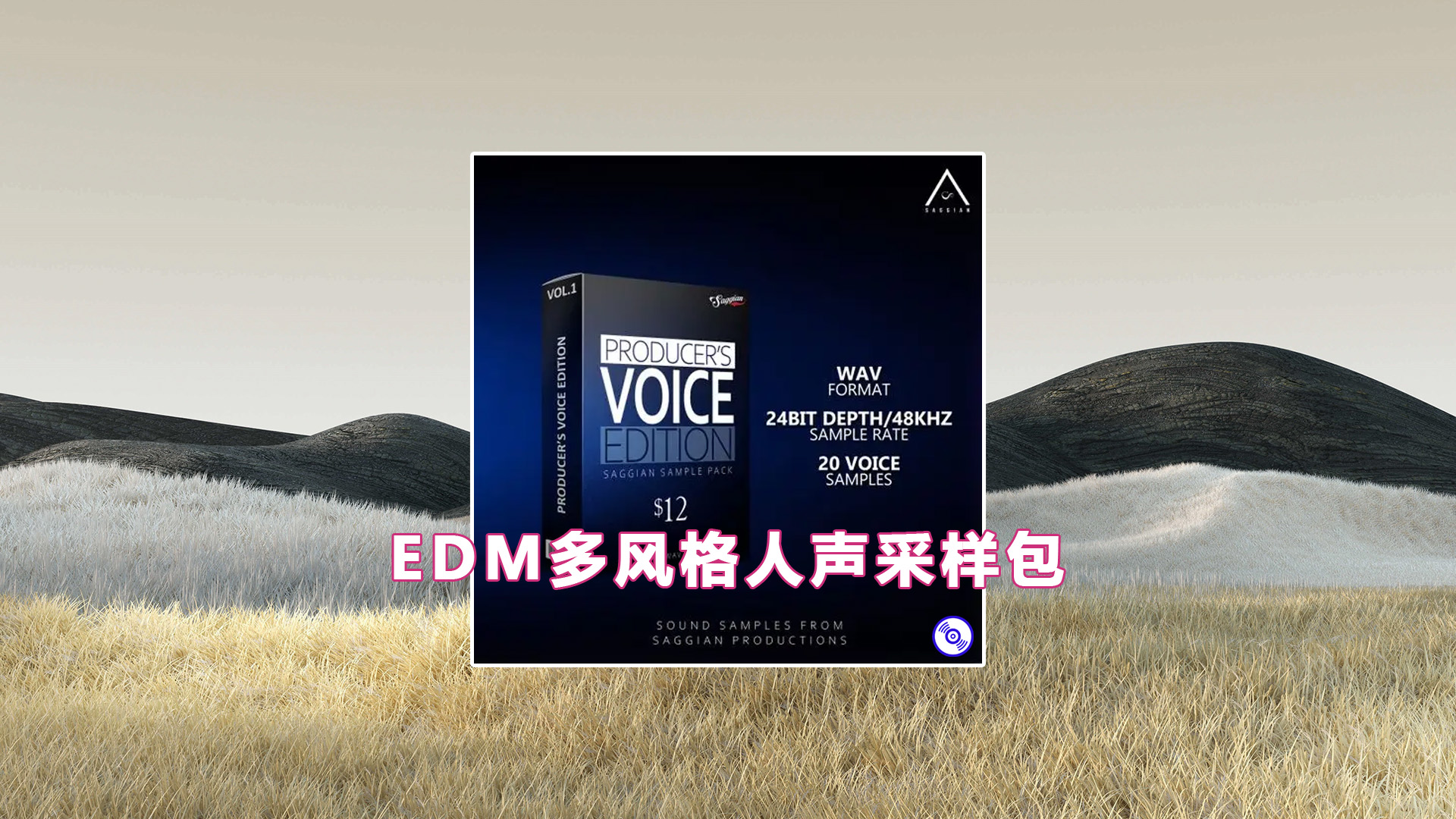 【EDM多风格人声采样包】EDM Producer`s Voice Edition