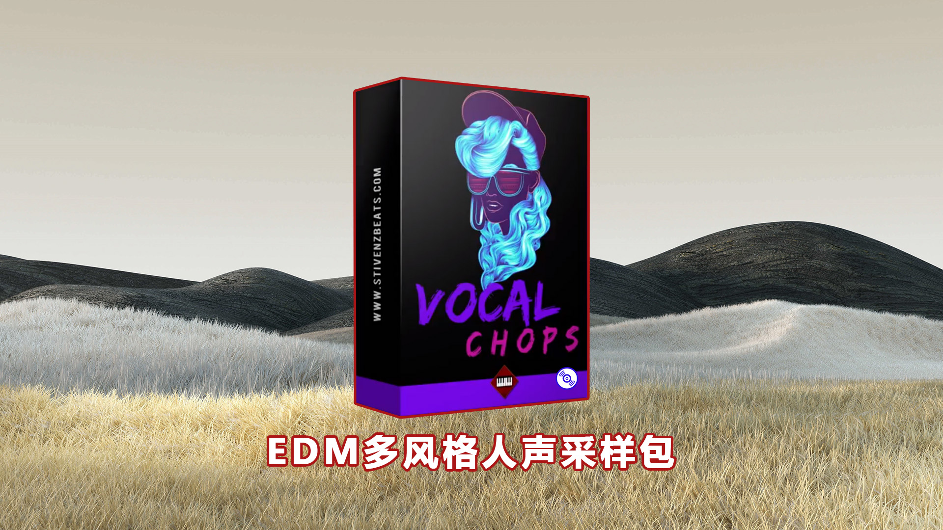 EDM多风格人声采样包下载！EDM Vocal Smaple Packs